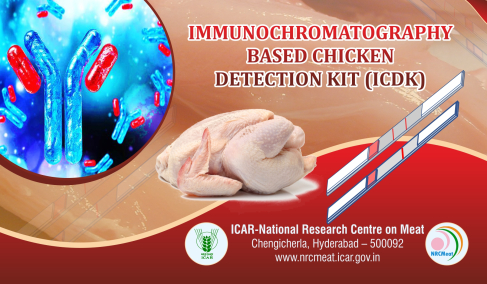 Point-of-Care Chicken Authentication Kit Using Rapid Lateral Flow ...