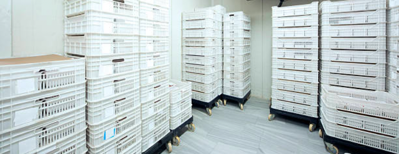 Cold storage-cold chain